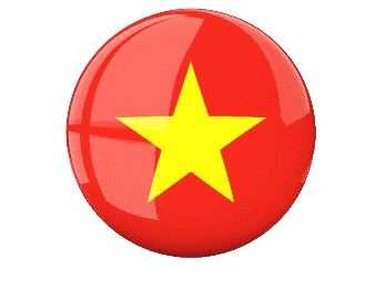 ngôn ngữ việt nam